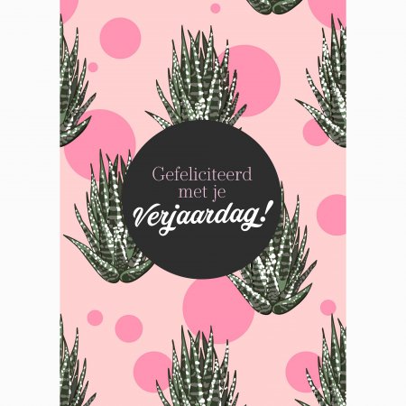 Verjaardag Aloë Vera